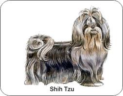  Shih Tzu Dog Air Freshener | My Air Freshener